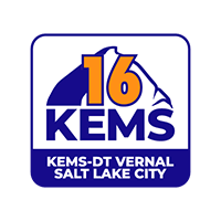 KEMS Logo