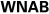 WNAB Thumbnail