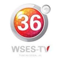 WSES Logo